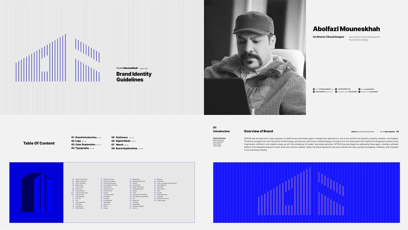 DITECH — Presentation
