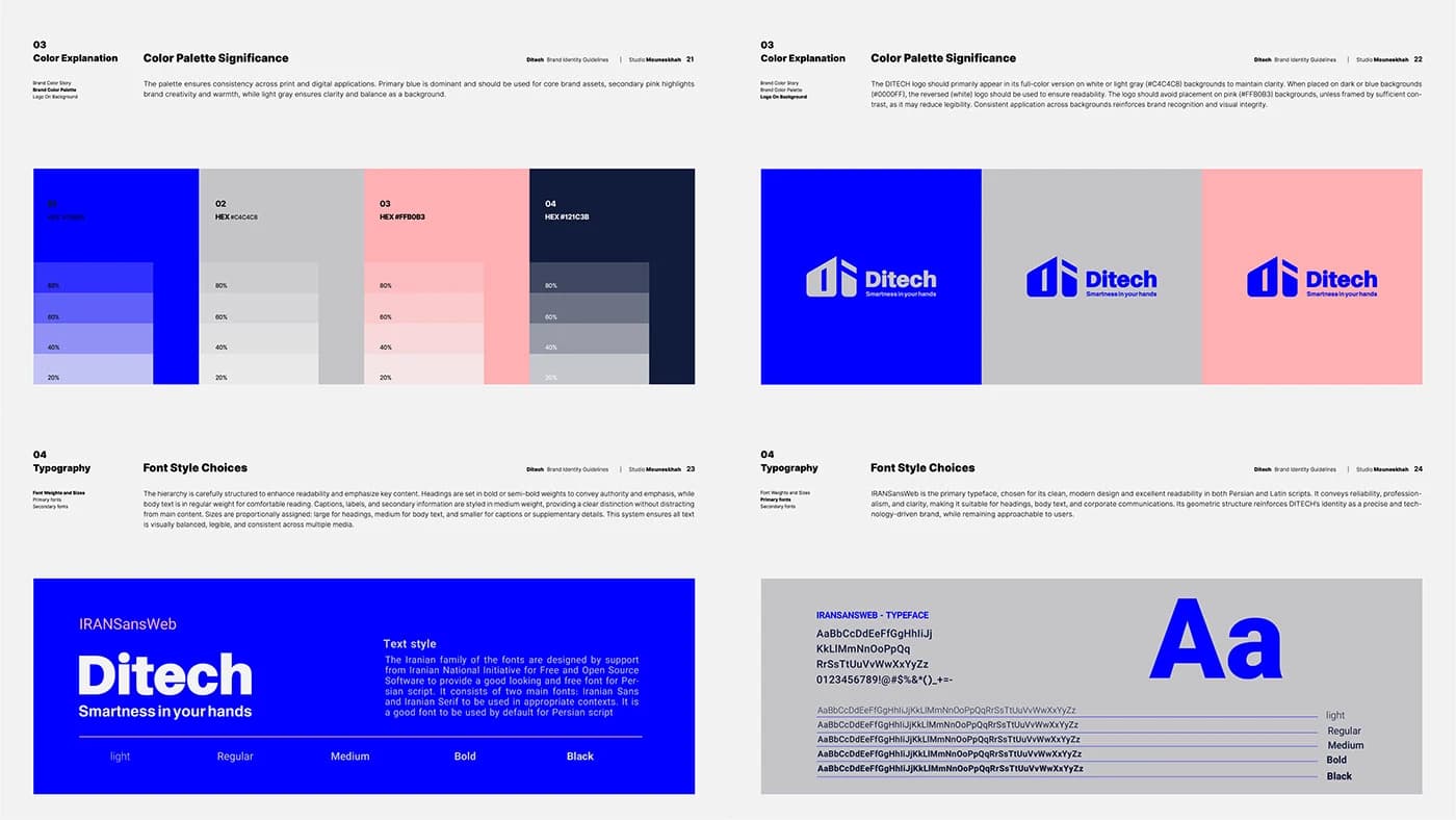 DITECH — Presentation