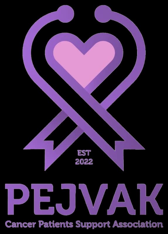 Pejvak logo