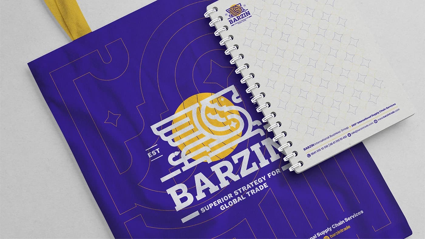 Barzin — Presentation