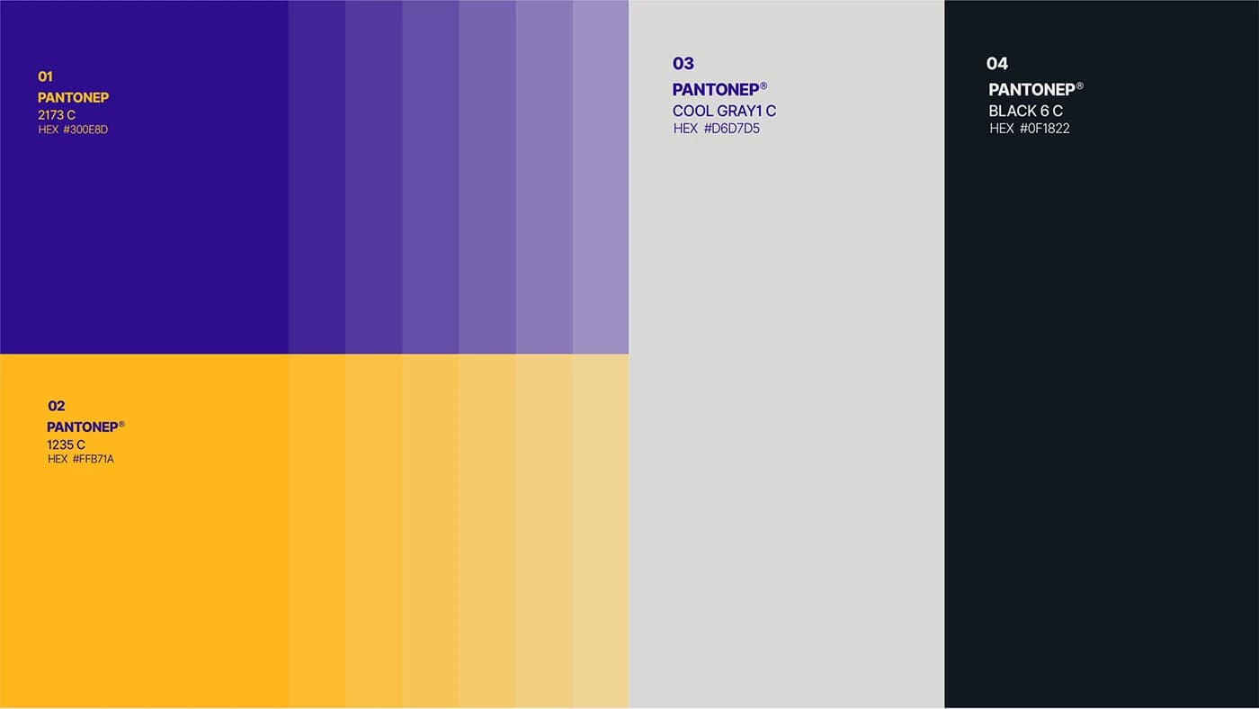 Barzin — Presentation