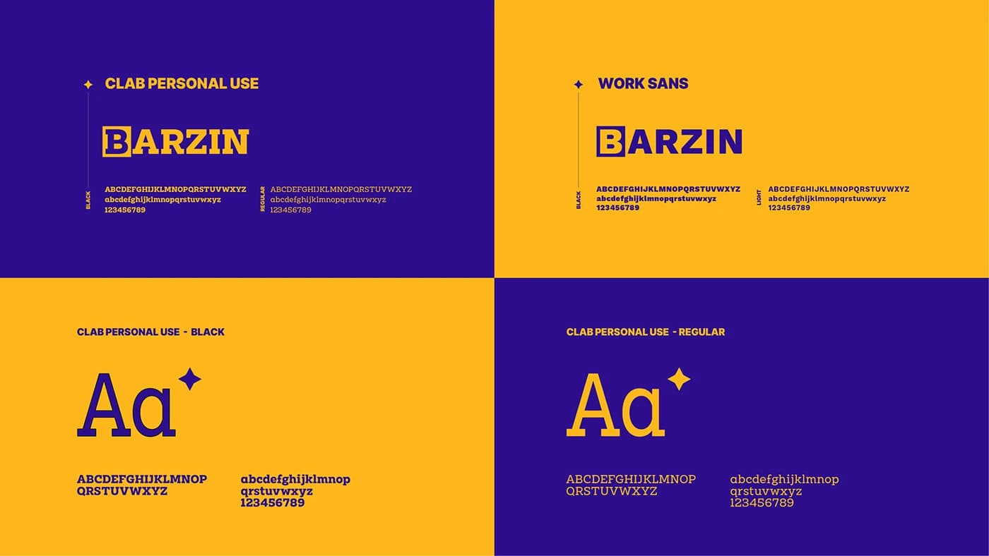 Barzin — Presentation