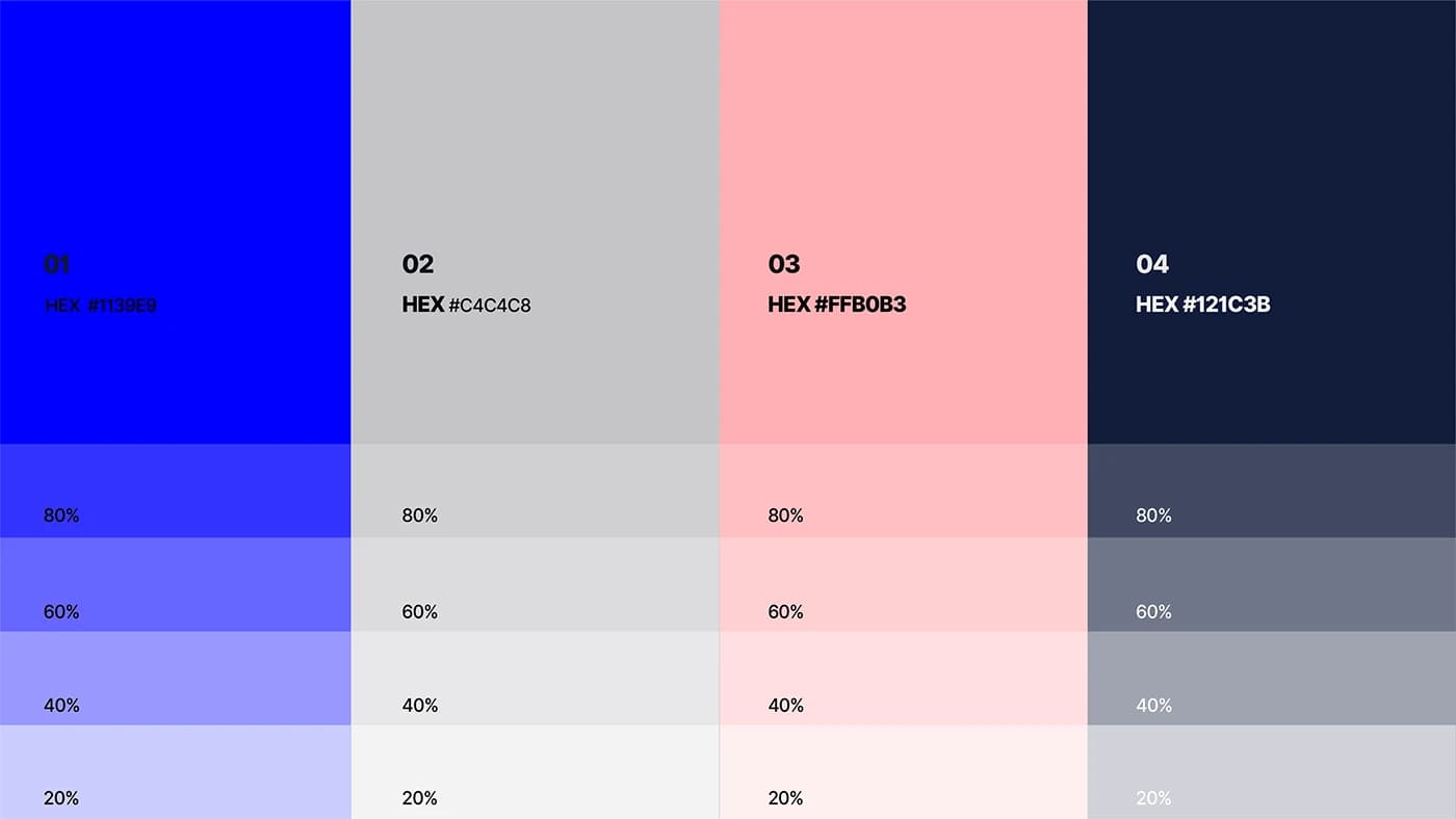 DITECH — Presentation