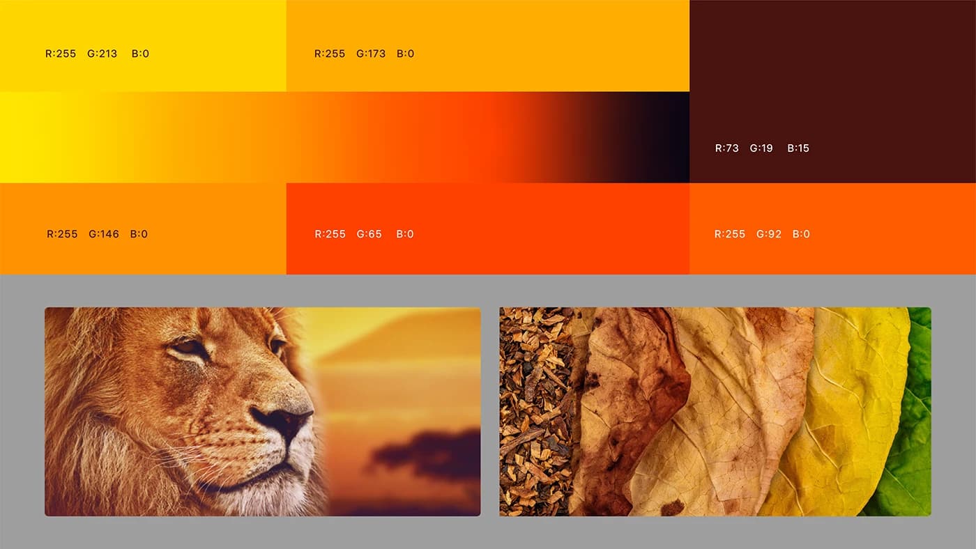 Sharlot — Presentation