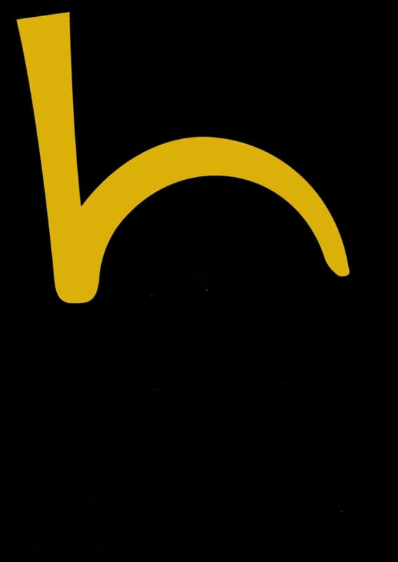 3bilit logo