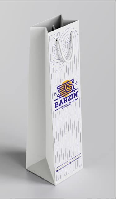 Barzin — Presentation