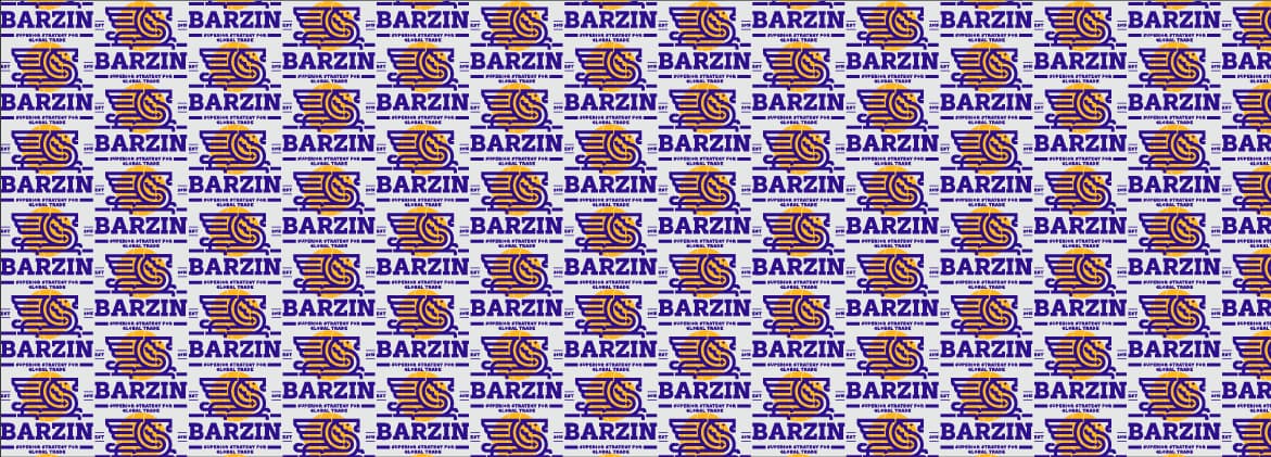 Barzin — Presentation