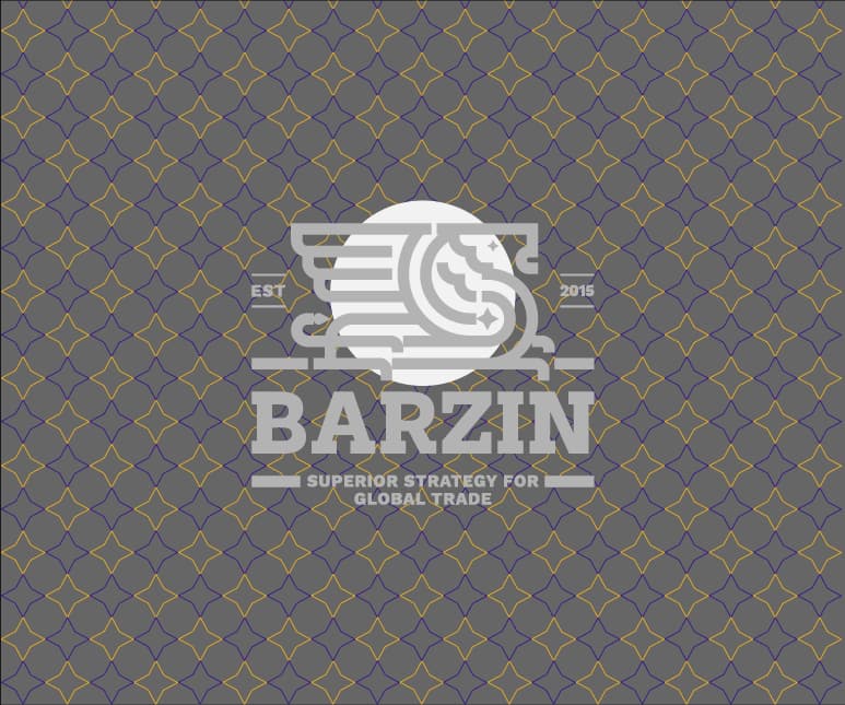 Barzin — Presentation
