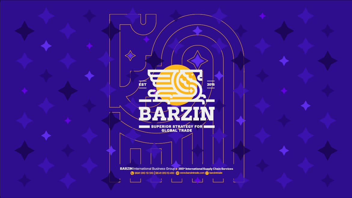 Barzin — Presentation