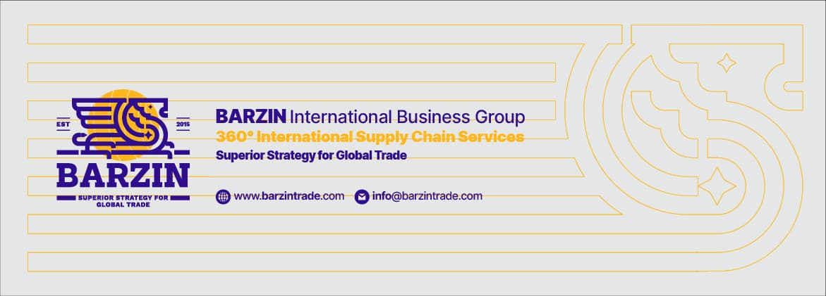 Barzin — Presentation