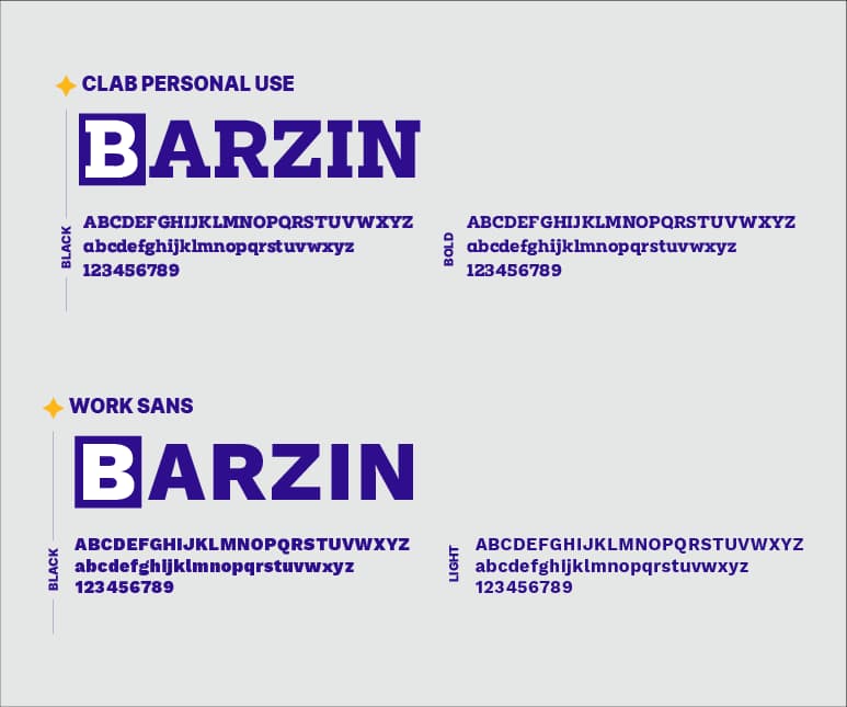 Barzin — Presentation