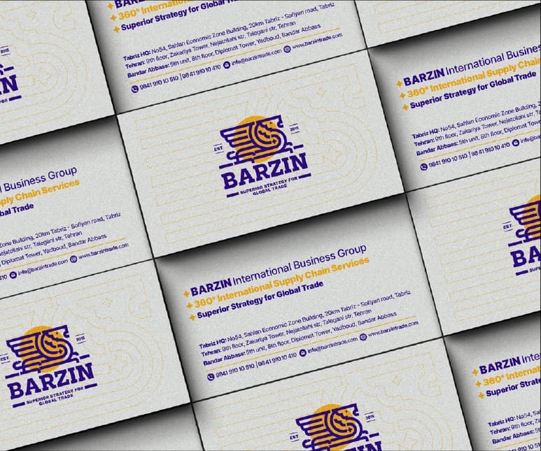 Barzin — Presentation