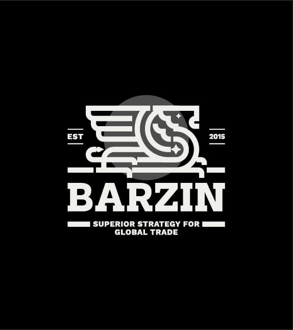 Barzin — Presentation