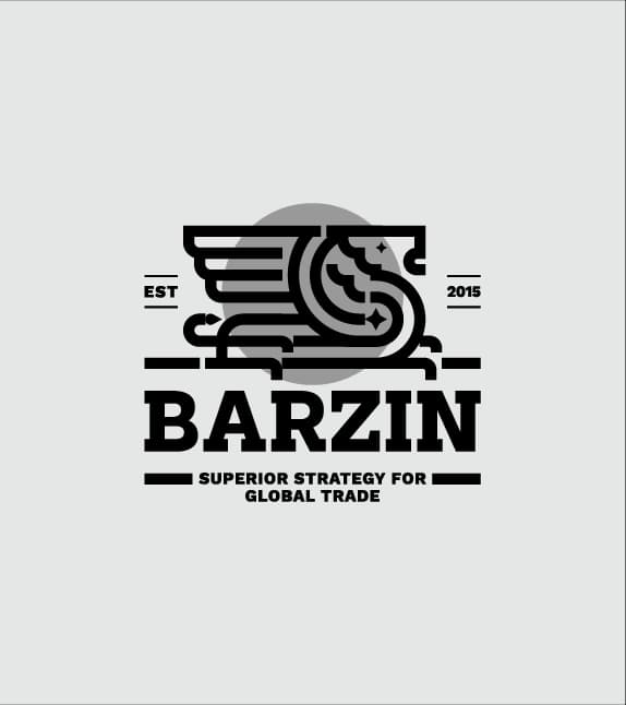 Barzin — Presentation