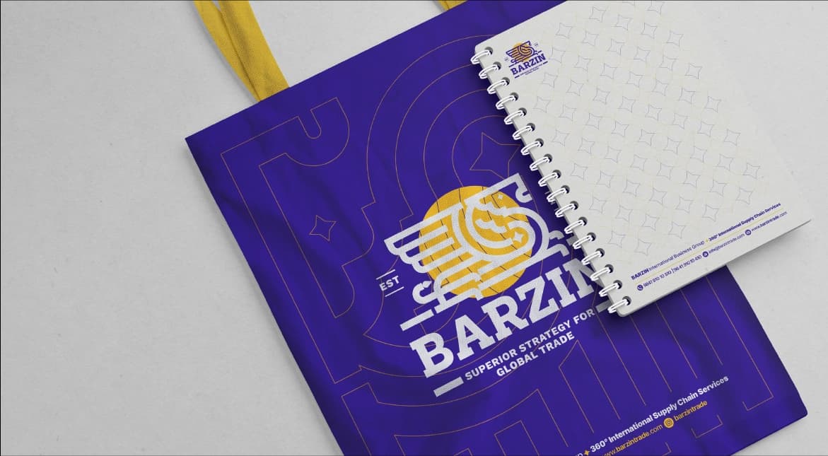 Barzin — Presentation