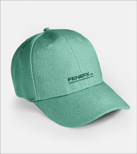 FENEFX — Presentation