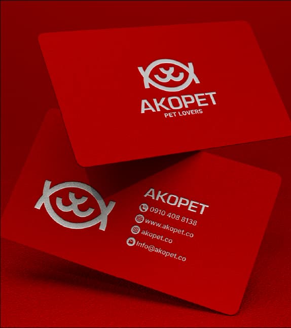 AKOPET — Presentation