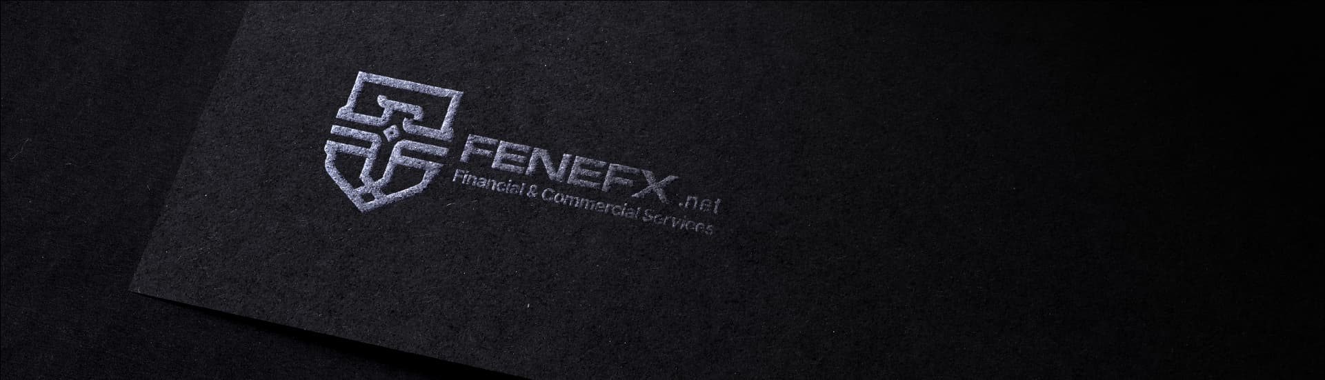 FENEFX — Presentation