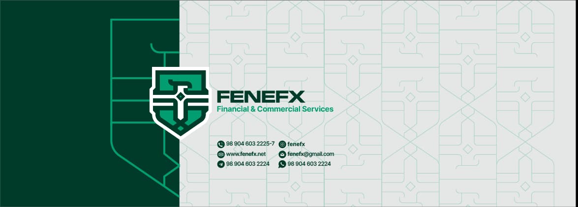 FENEFX — Presentation