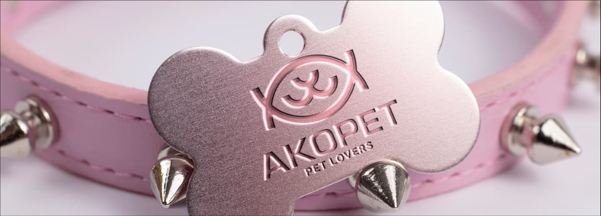 AKOPET — Presentation