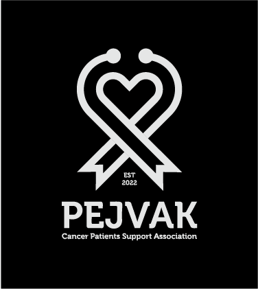 PEJVAK --Visual Identity Design (20)